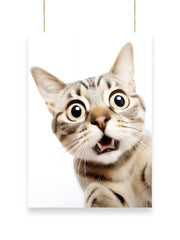 Shocking Cat | Cool - Poster | 28