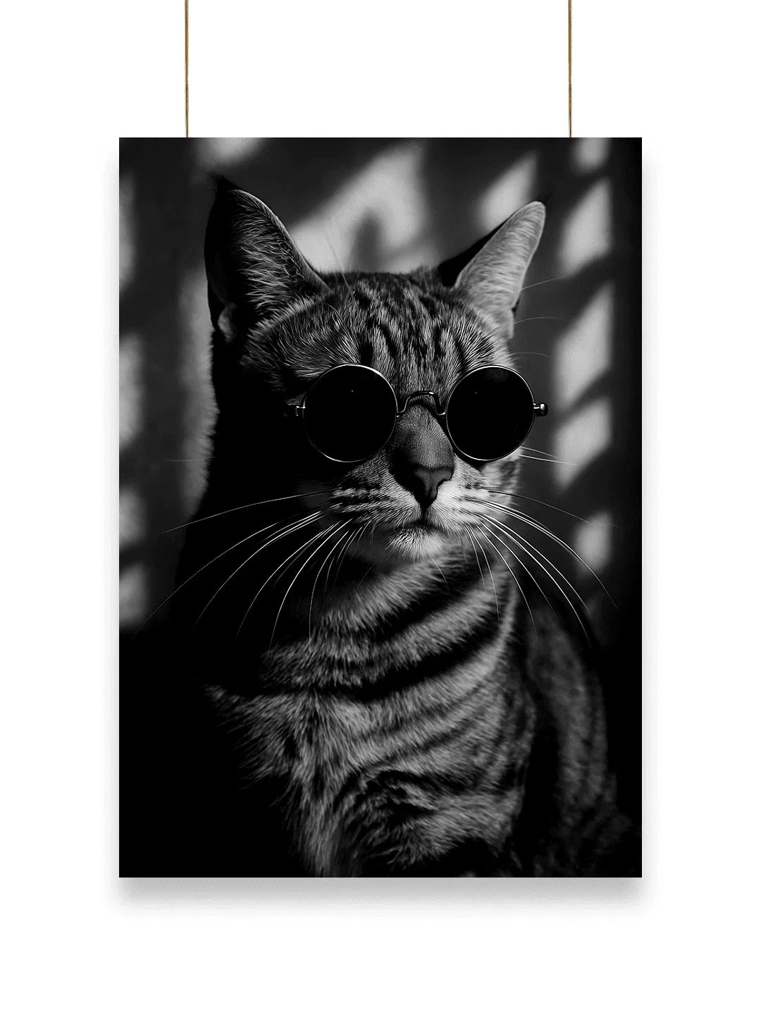 Cool Cat | Cool - Poster | 02