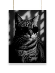 Cool Cat | Cool - Poster | 02