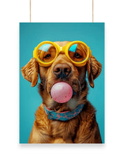 Cool Dog | Cool - Poster | 33