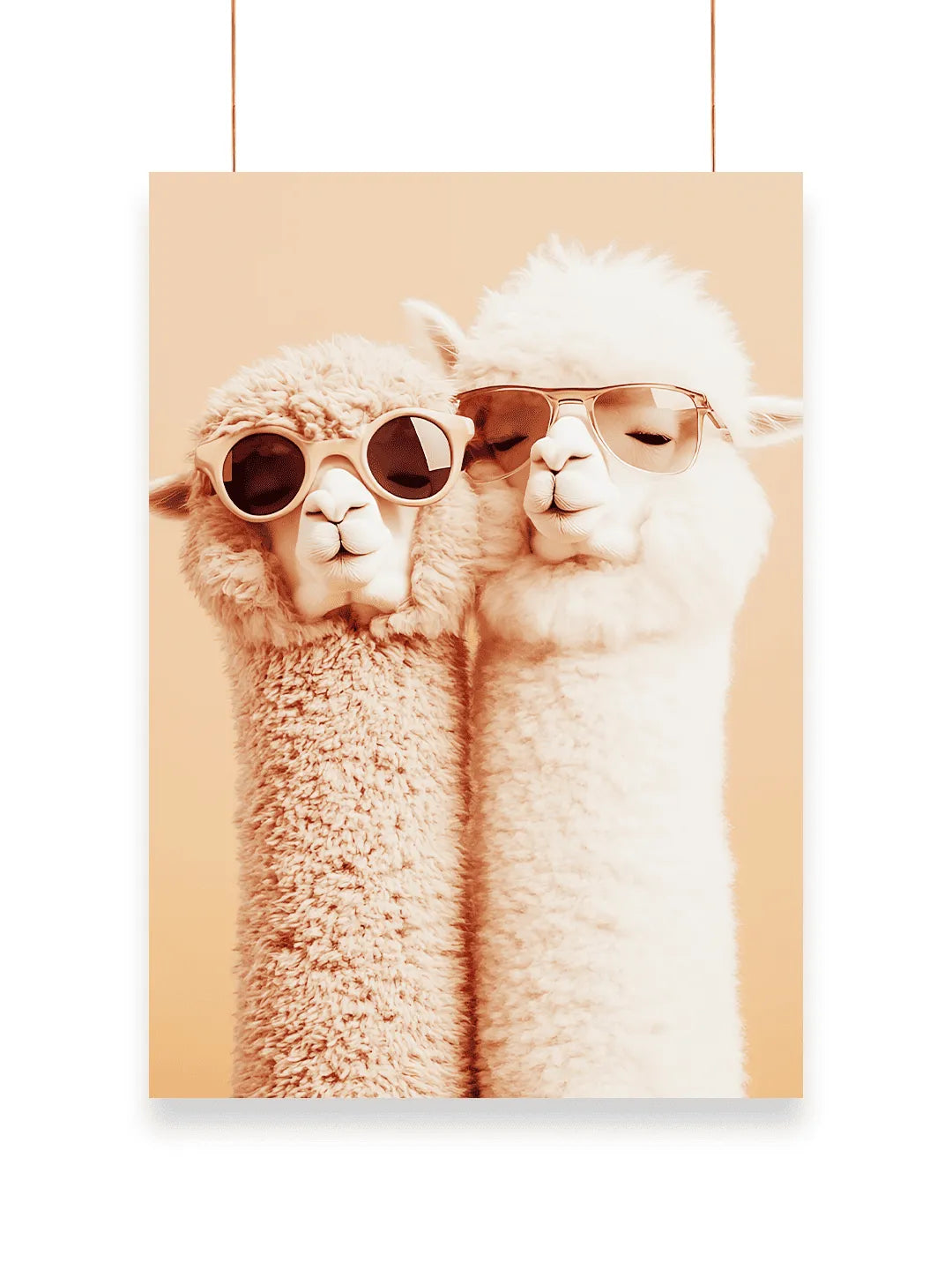 Cute Camel | Cool - Poster | 36