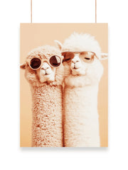 Cute Camel | Cool - Poster | 36
