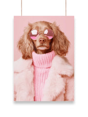 Cool Dog | Cool - Poster | 09